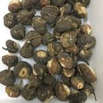 black-maca-1.jpeg